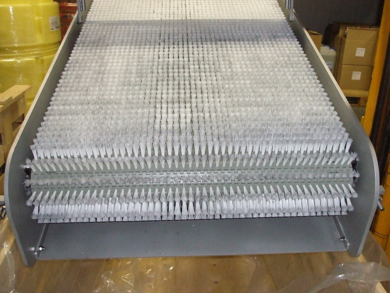 Belt Brush Module DSCF3277